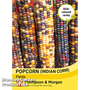 Popcorn 'Fiesta' - Seeds