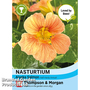 Nasturtium 'Alaska Salmon' - Seeds