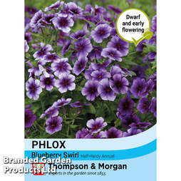 Phlox 'Blueberry Swirl' - Seeds