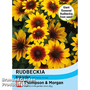 Rudbeckia 'Kokardas' - Seeds