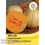 Melon 'France Miniature' - Seeds