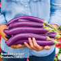 Aubergine 'Violet Knight' F1 - Seeds