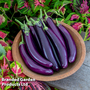 Aubergine 'Violet Knight' F1