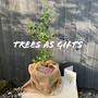 Trees as gifts