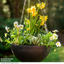 Garden Gear - Charcoal Marble Effect Hanging Basket