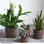 Garden Gear - Chia Seagrass Planter Basket