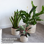 Garden Gear - Grey Sand Seagrass + Jute Planter Basket
