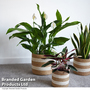 Garden Gear - Natural Seagrass + Jute Planter Basket