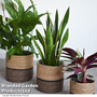 Garden Gear - Natural Navy Seagrass Planter Basket