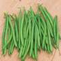 Dwarf Bean 'Caledonia' - Seeds