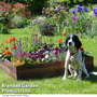 Garden Gear - Wooden Raised Garden Bed
