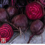 Beetroot 'Morello' - Seeds