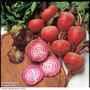 Beetroot 'Chioggia' - Kew Vegetable Seed Collection