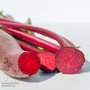 Beetroot Cylindra (Tapered) Rubbed - Seeds