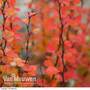 Berberis thunbergii f. atropurpurea 'Orange Rocket'