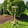 Pigeon Proof Bird Table - Timber - L41 x W41 x H192 cm - Partially Assembled