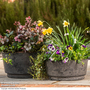 Garden Gear - Caesar Marble Effect Charcoal Bowl Planters