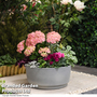Garden Gear - Caesar Concrete Effect Bowl Planter