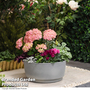 Caesar Concrete Effect Bowl Planter