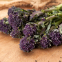 Broccoli 'Summer Purple' (Purple Sprouting) - Seeds