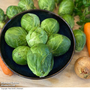 Brussels Sprout 'Marte' F1 Hybrid - Seeds