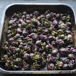 Brussels Sprout 'Red Darling'