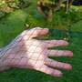Bird Block Soft Bird Mesh Netting for Fruit Veg & Plants - 4m Wide