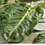 Collard 'Hi-Crop' F1 - Seeds