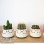 Cactus in Funny Face Decorative Pot