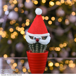 Cactus with Santa Hat and Face - Gift