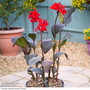 Canna x generalis 'Cannova Bronze Scarlet'