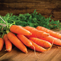 Carrot Chantenay 'Red Cored 3 - Supreme' - Seeds