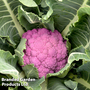 Cauliflower 'DePurple' F1 - Seeds