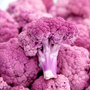 Cauliflower DePurple F1 - Kew Vegetable Seed Collection