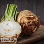 Celeriac 'Monarch' - Seeds