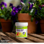 Chempak® Winter Food for Citrus Trees