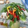 Chilli Pepper 'Galaxy Tri-Colour' F1 - Seeds