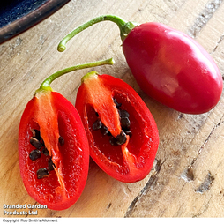 Chilli Pepper 'Scallywag' - Seeds