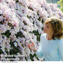 Clematis montana 'Mayleen'