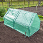 Garden Gear - Apex Cloche