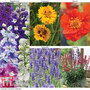 Cottage Garden Collection