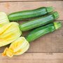 Courgette 'Defender' F1 Hybrid - Seeds