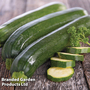 Courgette - Seeds