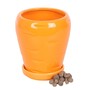 Carrot Shaped Indoor Plant Pot with Parsley Seed Balls