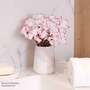 Cyclamen 'Absolu de Morel'