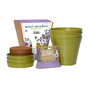 Seedball Bamboo Pots - Butterfly Mix