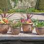Garden Gear - Antique Effect Planters- 4 Pack