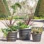 Garden Gear - Beehive Planters - Pack Of 3