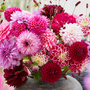 Dahlia 'Romantic Bouquet Mix'