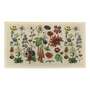 Botanicals Indoor Outdoor Doormat (70 x 40cm)
